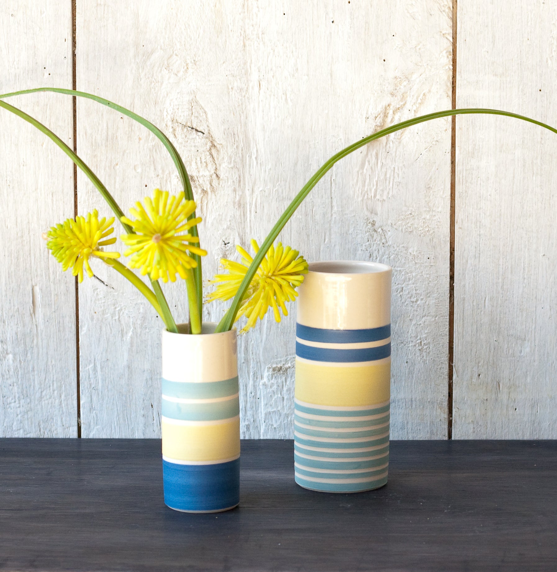 Spring flowers and Vases